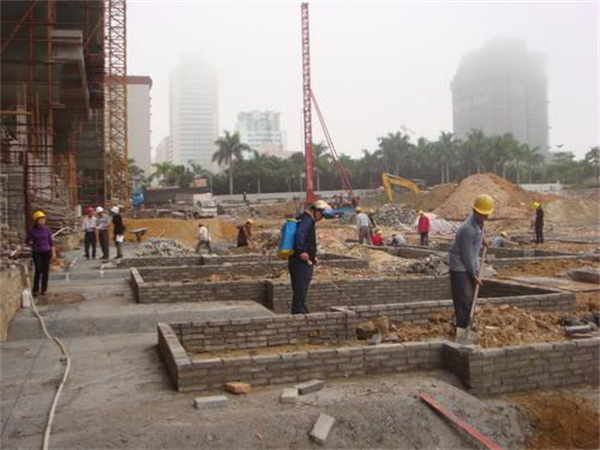 新建房屋白蟻防治