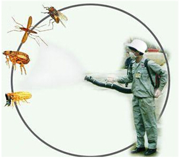 滅蟑螂