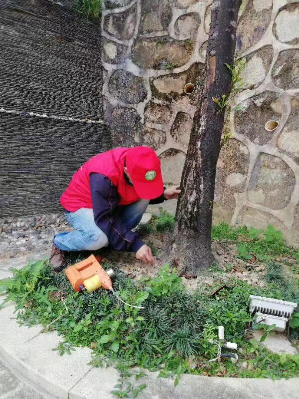白蟻防治